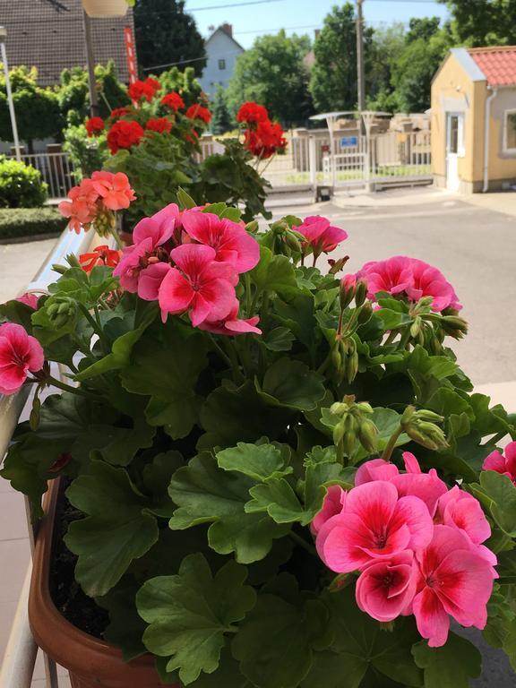 Ceu Konferencia Koezpont Hotell Budapest Exteriör bild